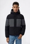 Champion Steppjacke SPORTWEAR JACKET Standard Fit mit Standard Fit, f&uuml;r...