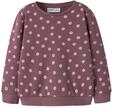 Sweatshirt NAME IT "NMFDAVINA LS SWEAT FLEECE BRU NOOS", M&auml;dchen, Gr. 80, braun