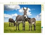 CALVENDO Puzzle CALVENDO Puzzle Eselstute und Fohlen, 2000 Teile Lege-Gr&ouml;&szlig;e...