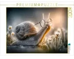 CALVENDO Puzzle CALVENDO Puzzle Eine Schnecke, 2000 Teile Lege-Gr&ouml;&szlig;e 90 &times; 67...