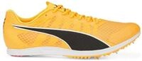 PUMA Evospeed Distance 11 - Spikeschuh Laufschuh