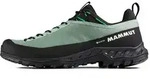 Mammut Alnasca IV Low GTX Men Trekkingschuh grau 48 EU