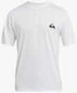 Quiksilver Poloshirt EVERYDAY SURF TEE SS