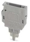 Phoenix Contact Schuko-Stecker Phoenix Contact Bauelementestecker grau P-CO