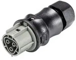 Wieland Electric Wieland Electric 96.031.4154.3 Steckverbinder...