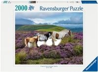 Ravensburger Puzzle 2000 Teile Puzzle Wildpferde in der Heide 12001751,...