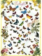 EUROGRAPHICS Puzzle Puzzle Schmetterlinge 1000 Teile, Puzzleteile