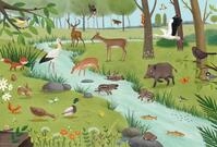 Schmidt Spiele Puzzle 3 x 24 Teile Kinder Puzzle Wald & Wiesentiere 56581,
