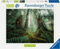 Ravensburger Puzzle power of nature, Faszinierender Wald, 1000 Puzzleteile,...
