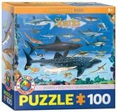 EUROGRAPHICS Puzzle Haie, 100 Puzzleteile