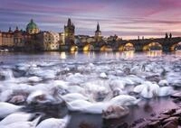 Schmidt Spiele Puzzle Prag - Schw&auml;ne, 1000 Puzzleteile