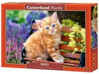 Castorland Puzzle Puzzle Ingwer K&auml;tzchen 500 Teile, Puzzleteile