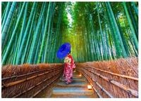 ENJOY Puzzle Puzzle ENJOY Puzzle Asiatische Frau im Bambuswald 1000 Teile,