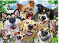 Ravensburger Puzzle Puzzle Ps&iacute; selfie 500 d&iacute;lků, Puzzleteile