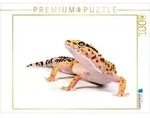 CALVENDO Puzzle CALVENDO Puzzle Leopardgecko - Eublepharis macularius, 1000...