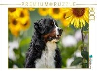 CALVENDO Puzzle CALVENDO Puzzle Sonnenblumenzeit, 500 Teile Lege-Gr&ouml;&szlig;e 48 &times;...