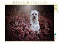 CALVENDO Puzzle CALVENDO Puzzle Irish soft coated wheaten Terrier, 1000 Teile
