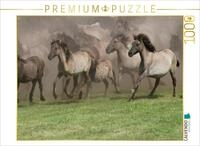 CALVENDO Puzzle CALVENDO Puzzle Wildpferde beim Einlauf in die Arena, 500 Teile