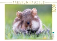 CALVENDO Puzzle CALVENDO Puzzle Feldhamster, 1000 Teile Lege-Gr&ouml;&szlig;e 64 &times; 48 cm