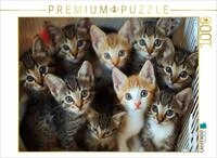 CALVENDO Puzzle CALVENDO Puzzle K&auml;tzchen - kuschliger Haufen, 1000 Teile