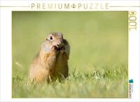 CALVENDO Puzzle CALVENDO Puzzle Ziesel knabbert, 1000 Teile Lege-Gr&ouml;&szlig;e 64 &times;...