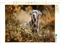 CALVENDO Puzzle CALVENDO Puzzle Labrador Retriever im Wald, 1000 Teile...