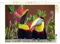 CALVENDO Puzzle CALVENDO Puzzle Swainson Tukan, 500 Teile Lege-Gr&ouml;&szlig;e 48 &times; 36...