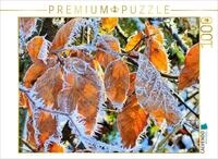CALVENDO Puzzle CALVENDO Puzzle Frostbl&auml;tter &ndash; Sch&ouml;nheit im Stillstand, 1000