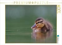 CALVENDO Puzzle CALVENDO Puzzle Stockente (Mallard), 500 Teile Lege-Gr&ouml;&szlig;e 48...