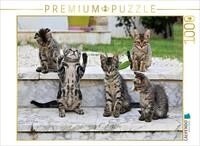 CALVENDO Puzzle CALVENDO Puzzle Ein Motiv aus dem Kalender Die Streuner von La...