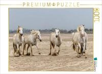 CALVENDO Puzzle CALVENDO Puzzle Ein Motiv aus dem Kalender Die wilden Pferde der