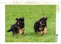 CALVENDO Puzzle CALVENDO Puzzle Lauf um die Wette, 500 Teile Lege-Gr&ouml;&szlig;e 48 &times;...