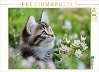 CALVENDO Puzzle CALVENDO Puzzle Vertr&auml;umte Katze in der Wiese, 2000 Teile