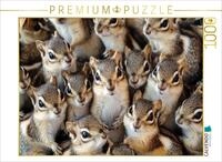 CALVENDO Puzzle CALVENDO Puzzle Streifenh&ouml;rnchen Kuschelhaufen, 1000 Teile