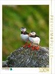 CALVENDO Puzzle CALVENDO Puzzle Ein Motiv aus dem Kalender Naturerlebnis Puffin,
