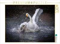 CALVENDO Puzzle CALVENDO Puzzle Tanz 02, 500 Teile Lege-Gr&ouml;&szlig;e 48 &times; 36 cm