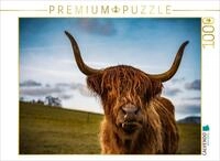 CALVENDO Puzzle CALVENDO Puzzle Highland im Weserbergland, 2000 Teile...