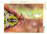 CALVENDO Puzzle CALVENDO Puzzle Spiegelndes Eichh&ouml;rnchen, 1000 Teile...