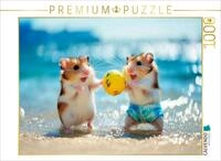 CALVENDO Puzzle CALVENDO Puzzle Beachball Buddies, 1000 Teile Lege-Gr&ouml;&szlig;e 64...