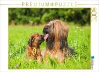 CALVENDO Puzzle CALVENDO Puzzle Briard- H&uuml;ndin mit einem ihrer Welpen, 1000...