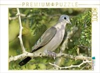 CALVENDO Puzzle CALVENDO Puzzle Bronzefleck-Taube im Kruger Nationalpark, 500...