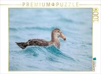 CALVENDO Puzzle CALVENDO Puzzle Sturmvogel bei Salisbury Plain, 1000 Teile