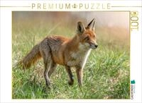 CALVENDO Puzzle CALVENDO Puzzle Ein Motiv aus dem Kalender F&uuml;chse - zauberhafte