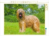 CALVENDO Puzzle CALVENDO Puzzle Eine wahre Sch&ouml;nheit - Briard, 1000 Teile