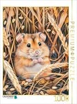 CALVENDO Puzzle CALVENDO Puzzle Feldhamster im Getreidefeld, 1000 Teile...