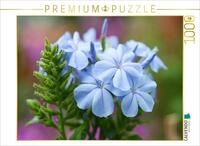 CALVENDO Puzzle CALVENDO Puzzle Bleiwurz, Plumbago, 1000 Teile Lege-Gr&ouml;&szlig;e 64...