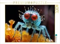 CALVENDO Puzzle CALVENDO Puzzle Puck die Stubenfliege - Mikroorganismen, 1000...