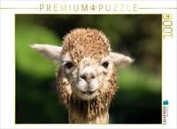 CALVENDO Puzzle CALVENDO Puzzle Alpaka, 1000 Teile Lege-Gr&ouml;&szlig;e 64 &times; 48 cm