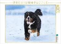 CALVENDO Puzzle CALVENDO Puzzle Berner Sennenhund im Schnee, 1000 Teile...