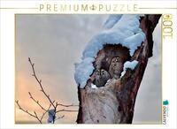 CALVENDO Puzzle CALVENDO Puzzle Winter im Kauzwald, 1000 Teile Lege-Gr&ouml;&szlig;e 64...